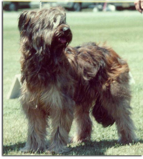 Fresa at the show, 1981